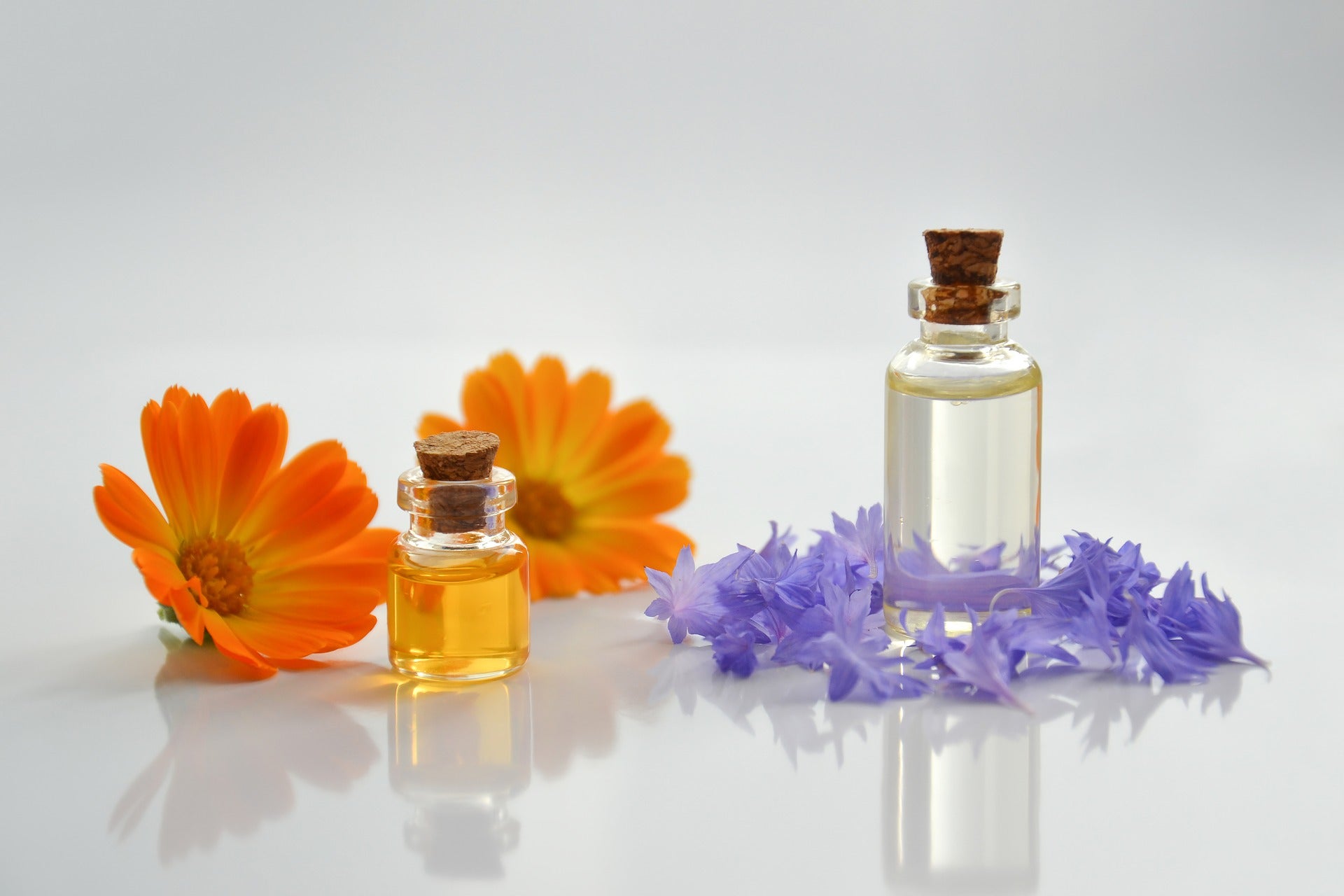 Turn your Home into a Wellness Sanctuary Using Essential Oils